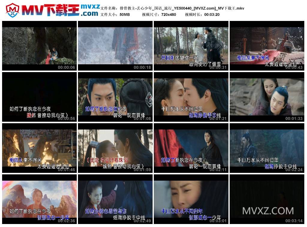 排骨教主-丢心少年_国语_流行_YE500440